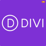 DIVI THEME + DIVI Builder Plugin