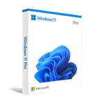 Windows 11 Professional