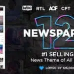 Newspaper WordPress Theme