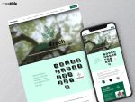 Custom website development and responsive web design solutions