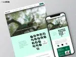 Custom website development and responsive web design solutions