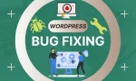 Fast WordPress error fixing and technical troubleshooting services