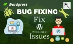 Professional WordPress bug fixing and technical support services for website errors